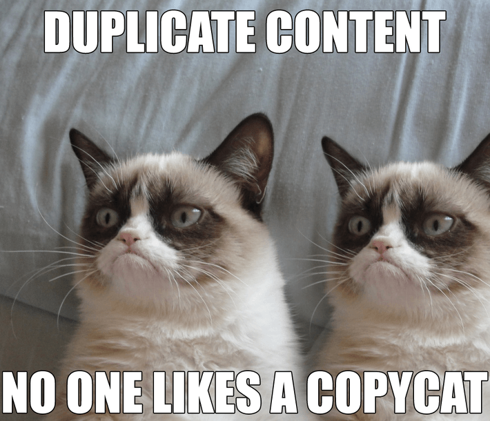 Contenuti duplicati: come si comporta Google?