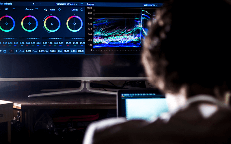 DaVinci Resolve Official Course — dentro il corso
