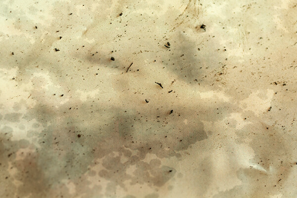 Therapy — Veronica Ameruoso