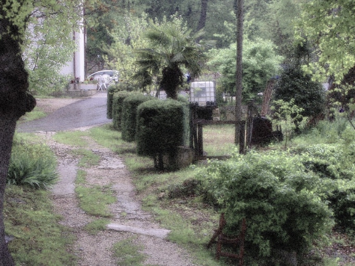 Tesi Serena D'Urbano — frame 2