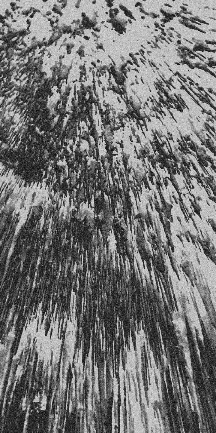 Tesi Sara Fornasiero — frame 3