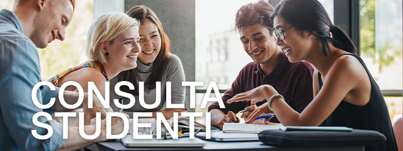 consulta studenti