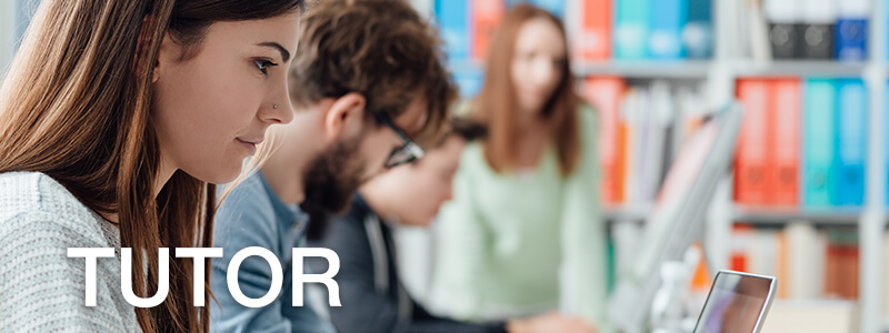 tutor dam academy